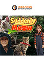 Suddenly Meow
