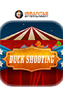 Duck Shooting
