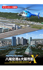 FSアドオンコレクション八尾空港＆大阪市街